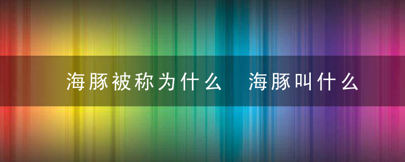 海豚被称为什么 海豚叫什么